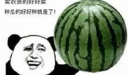 张小寒爆料甜瓜视频大全,甜瓜视频大全背后的精彩瞬间