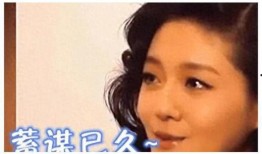 太原娱乐圈爆料事件真相,揭秘幕后黑幕与真实内情